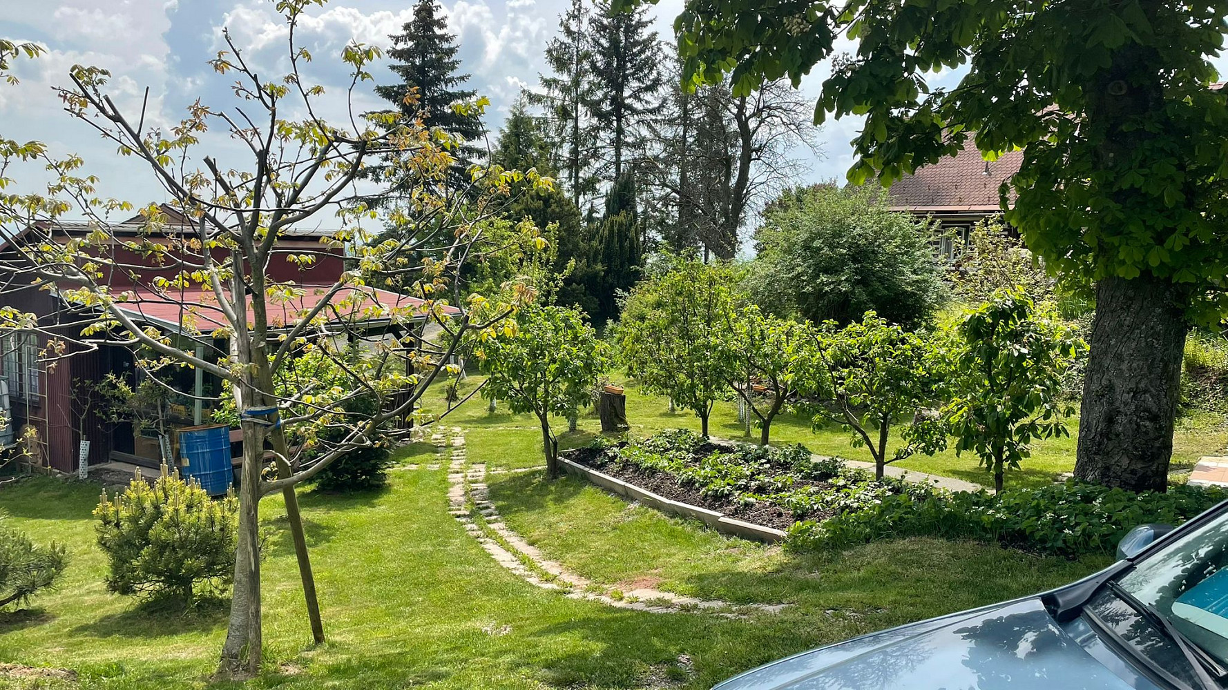 Prodej zahrady 400 m² – fotografie 5