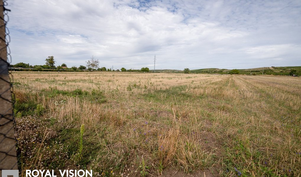 Prodej stavebního pozemku 2 035 m², Březí – náhled fotky 7