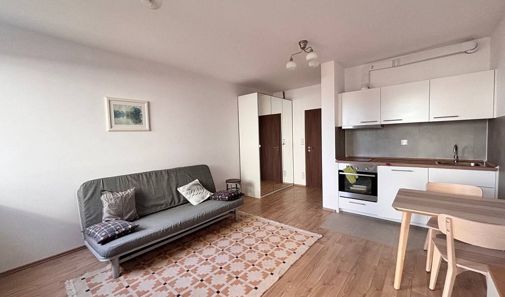 Pronájem bytu 1+kk 30 m², Praha – náhled fotky 2