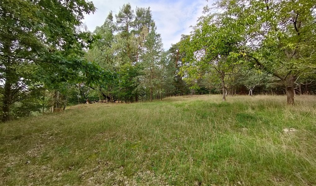 Prodej louky 10 524 m², Boseň – náhled fotky 8