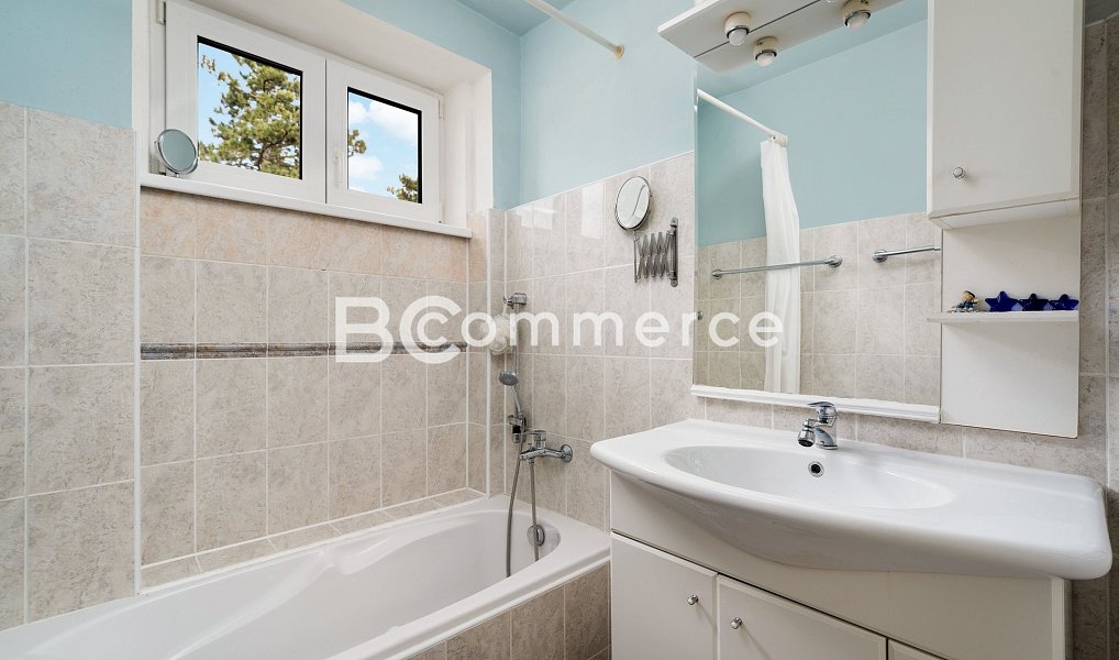 Prodej domu 270 m² s pozemkem 4 446 m², Dolní Kounice – náhled fotky 23