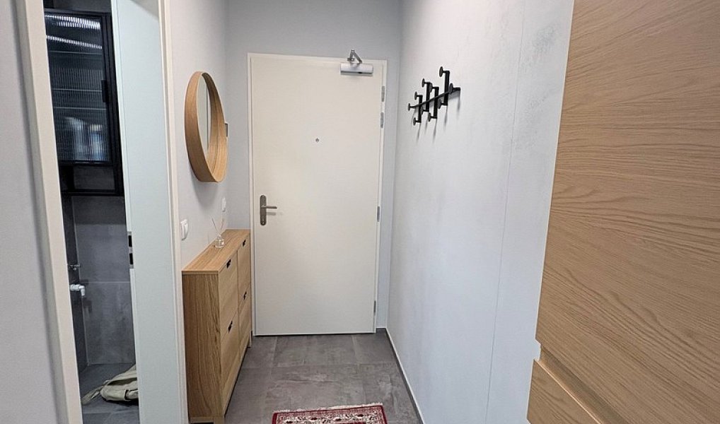 Pronájem bytu 1+kk 45 m², Praha – náhled fotky 7