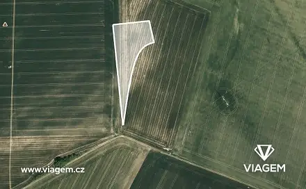 Prodej pole 1 063 m², Litenčice, okres Kroměříž