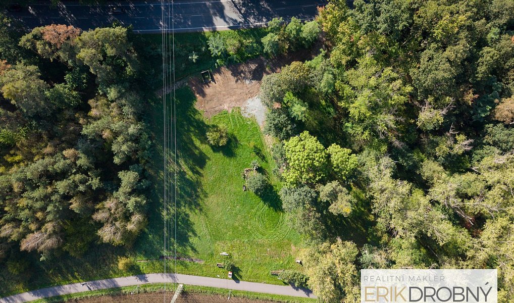 Prodej lesa, 3622 m², Popkovice - Pardubice, Pardubice