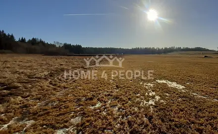 Prodej louky 11 835 m², Černá v Pošumaví, okres Český Krumlov
