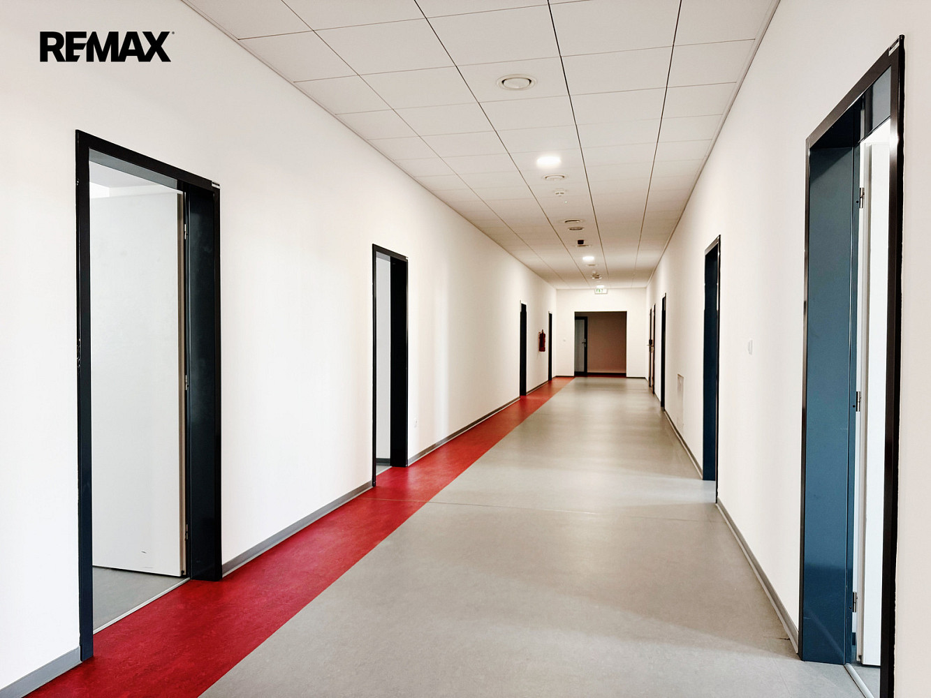 Pronájem kanceláře 650 m² – fotografie 3