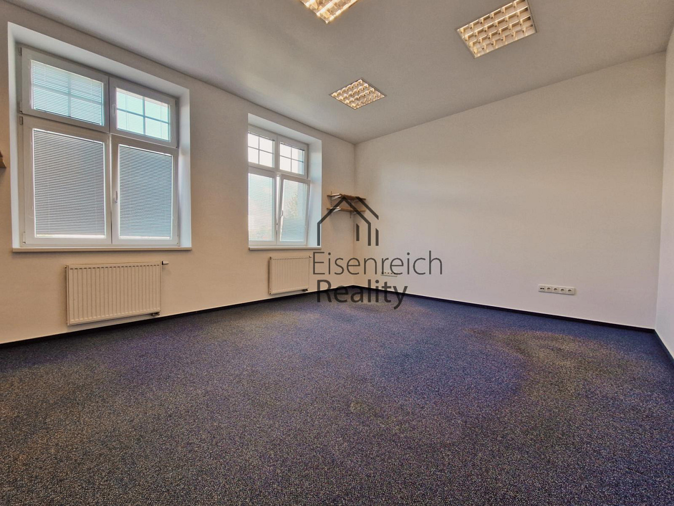 Pronájem kanceláře 250 m² – fotografie 5