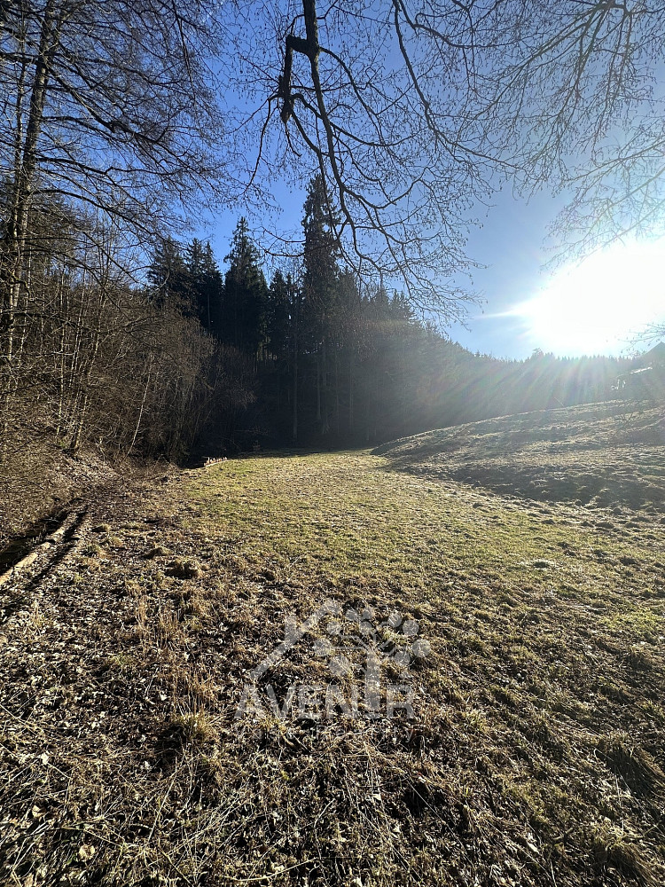 Prodej louky 5 815 m² – fotografie 3