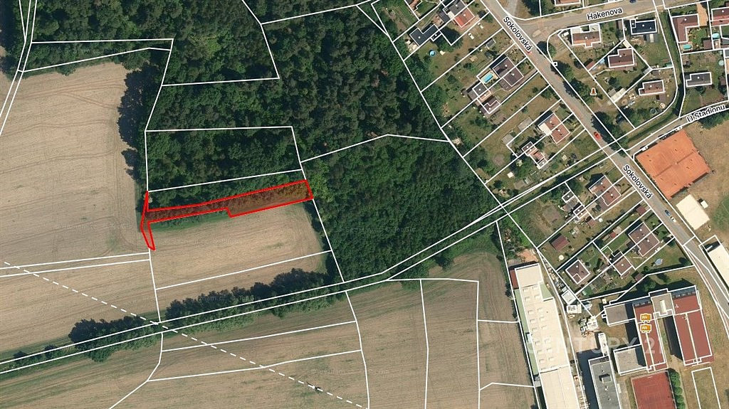 Prodej pole 10 362 m² — photo 5