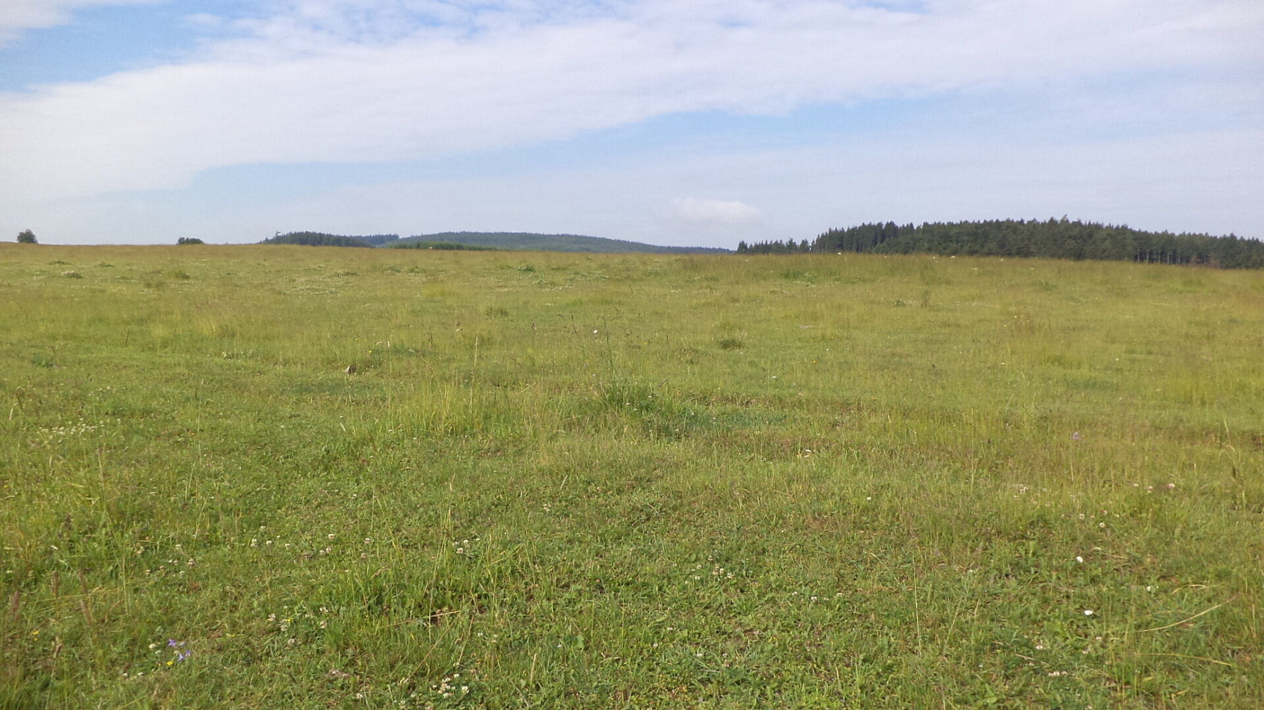 Prodej pozemku 4 031 m² – fotografie 2