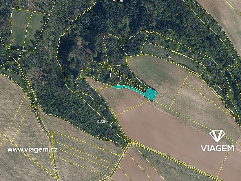 Prodej lesa 1 843 m² – fotografie 3
