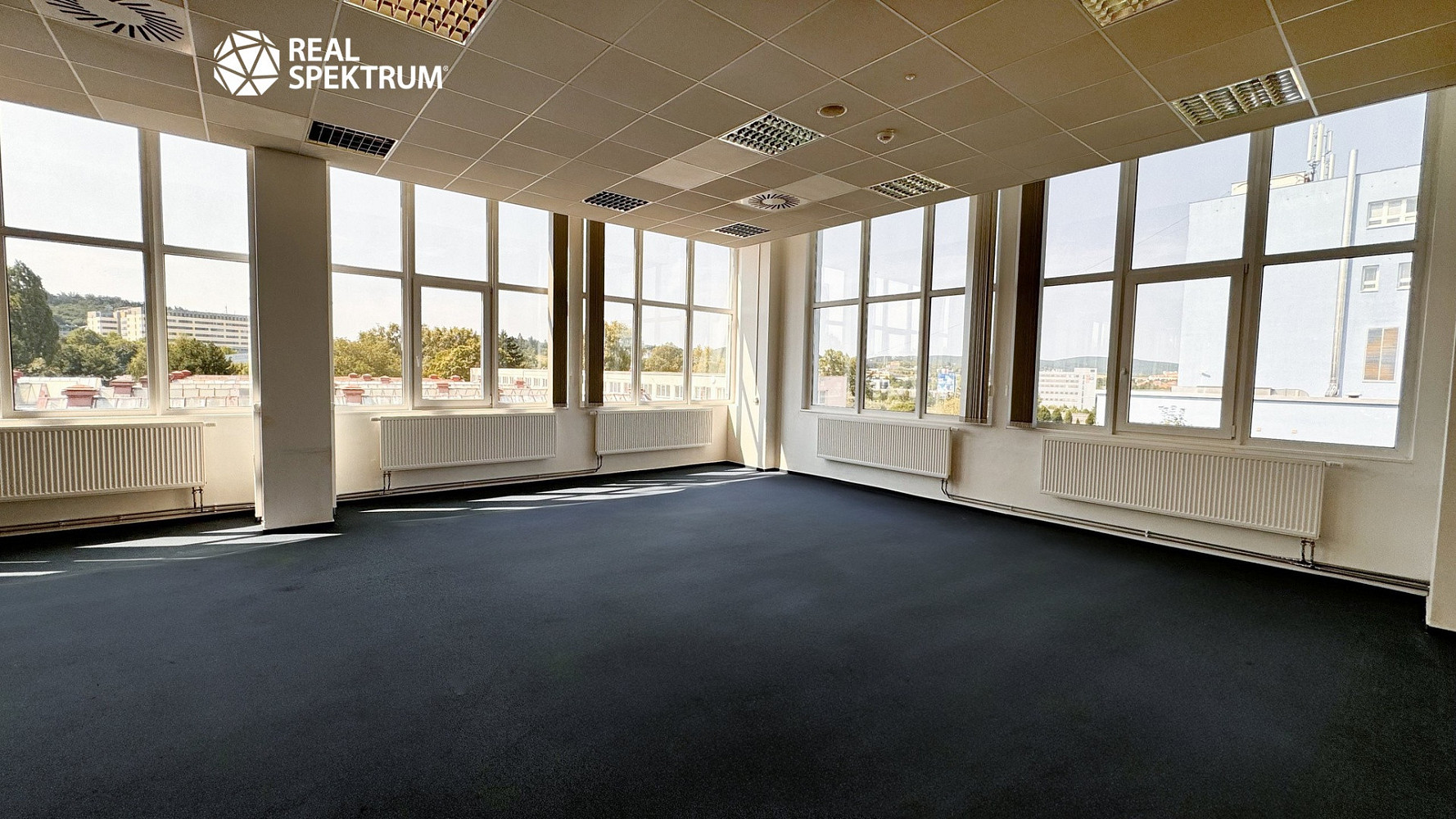 Pronájem kanceláře 313 m² – fotografie 5