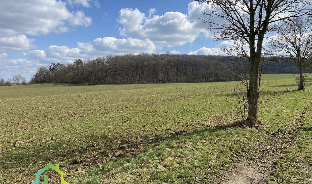 Prodej stavebního pozemku 1 000 m², Mořina – náhled fotky 7