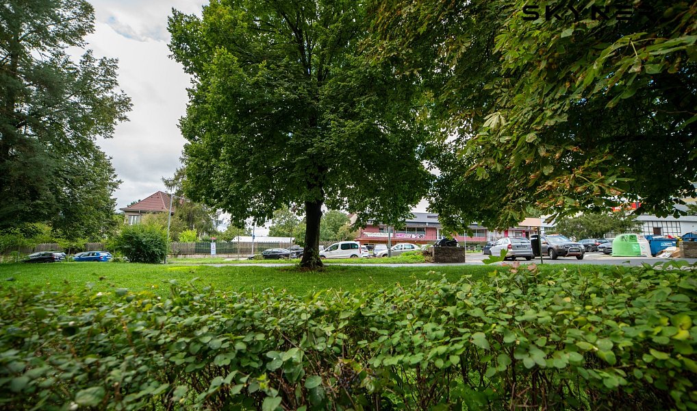 Pronájem bytu 1+kk 21 m², Ústí nad Labem – náhled fotky 7