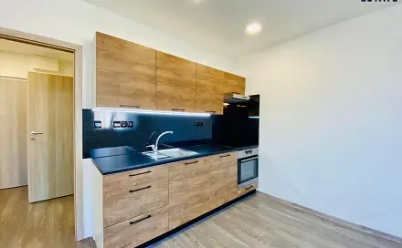 Pronájem bytu 1+kk 33 m², Velkopavlovická, Brno - Židenice