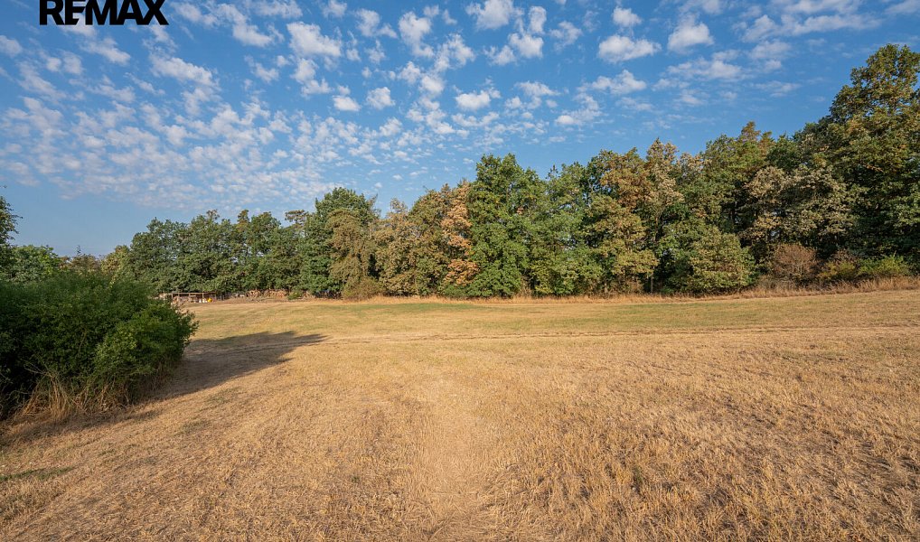 Prodej pole 11 767 m², Benešov – náhled fotky 11