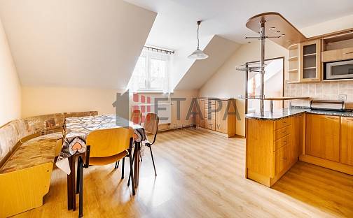 Prodej domu 382 m² s pozemkem 317 m², Ražice, okres Písek