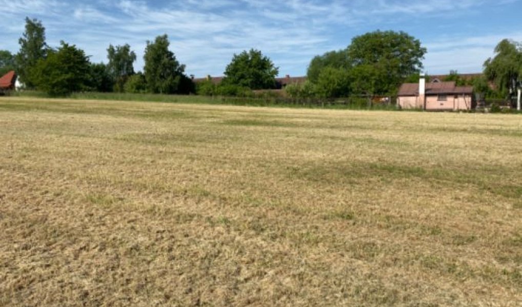 Prodej stavebního pozemku 8 669 m², Zbizuby – náhled fotky 8