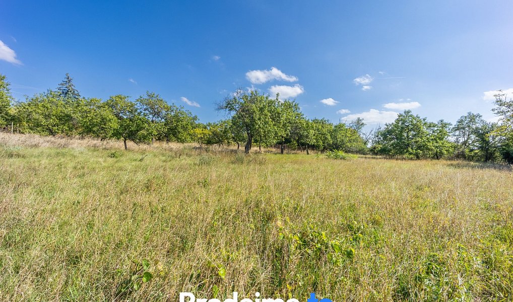 Prodej chaty/chalupy 27 m² s pozemkem 737 m², Dobšice – náhled fotky 11