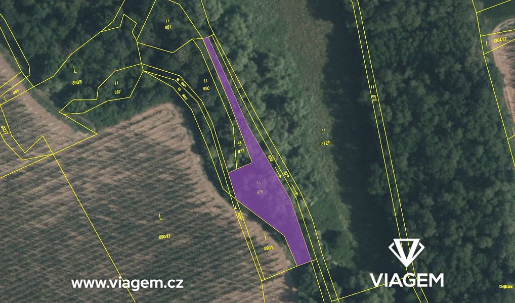 Prodej pole 1 165 m², Lipno – náhled fotky 4