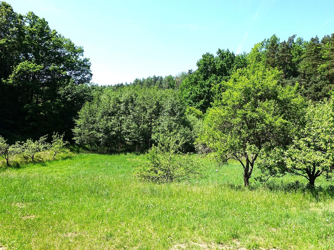 Prodej louky 1 159 m² — photo 2
