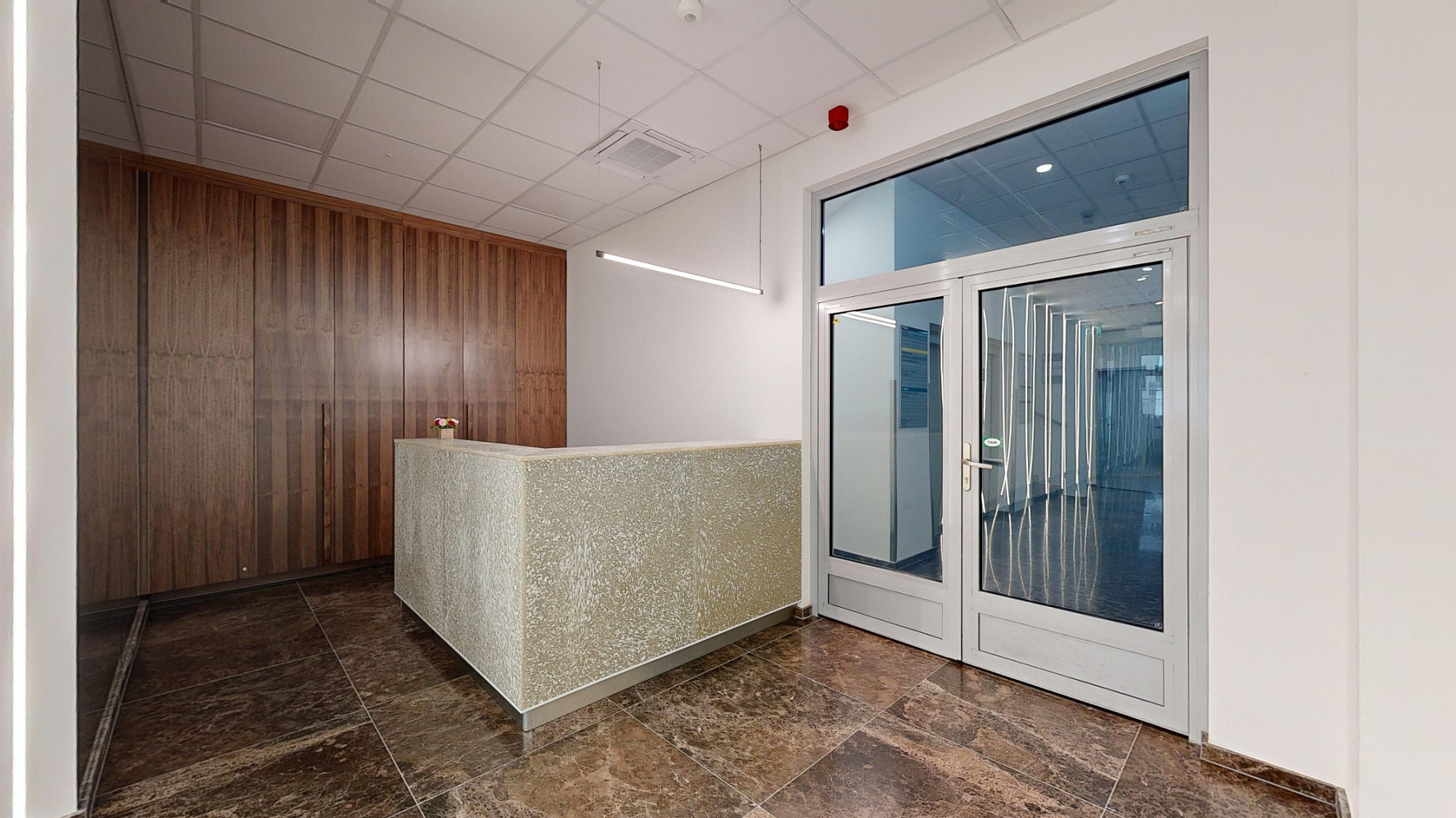 Pronájem kanceláře 338 m² – fotografie 4