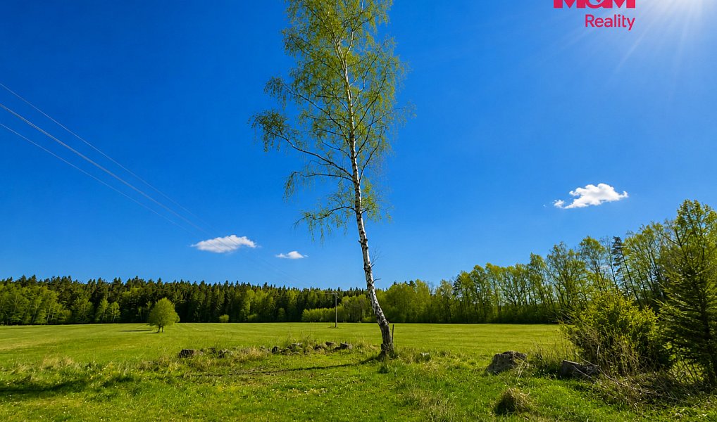Prodej chaty/chalupy 85 m² s pozemkem 1 942 m², Benešov nad Černou – náhled fotky 9