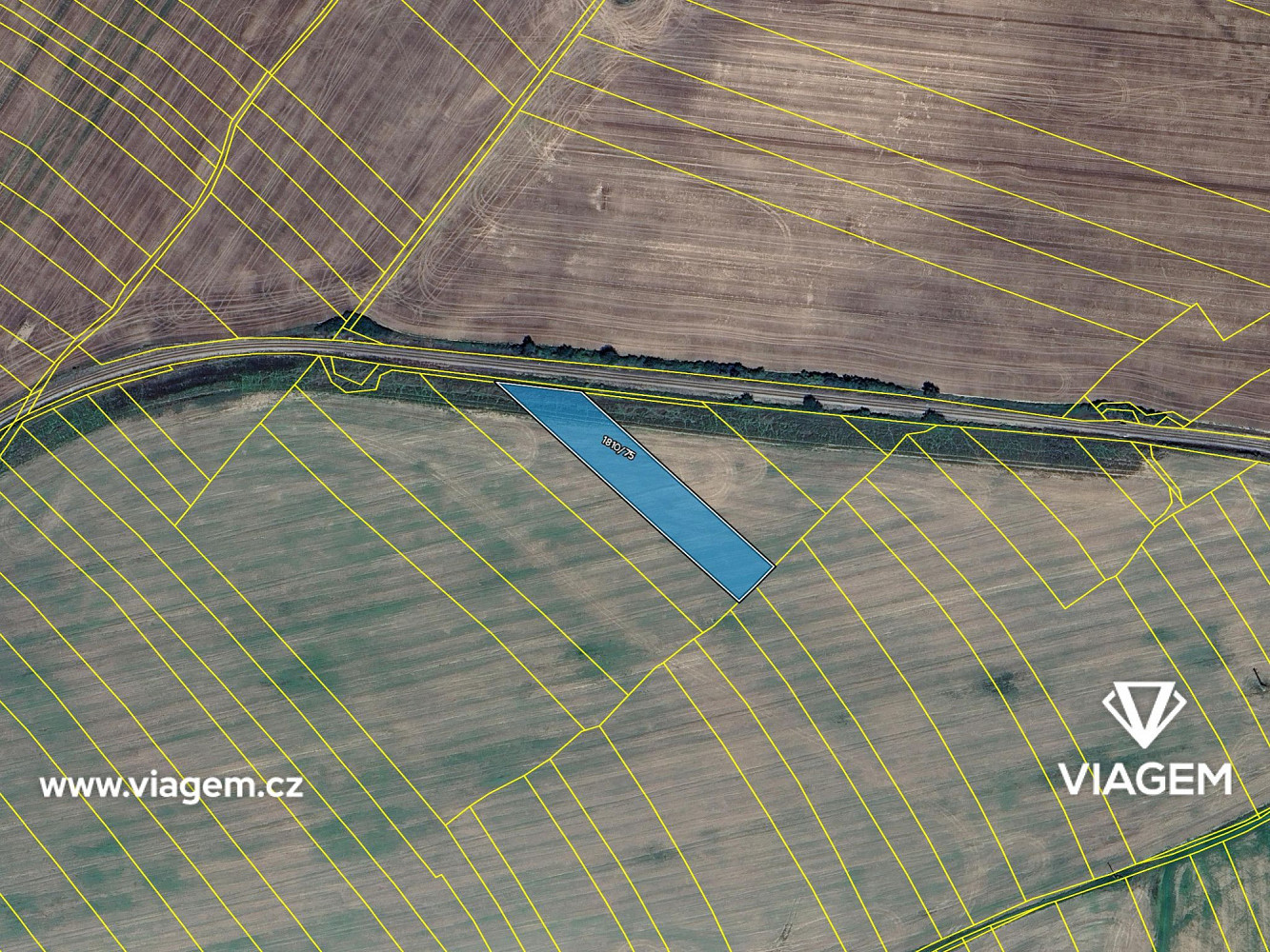 Prodej pole 1 913 m² – fotografie 4