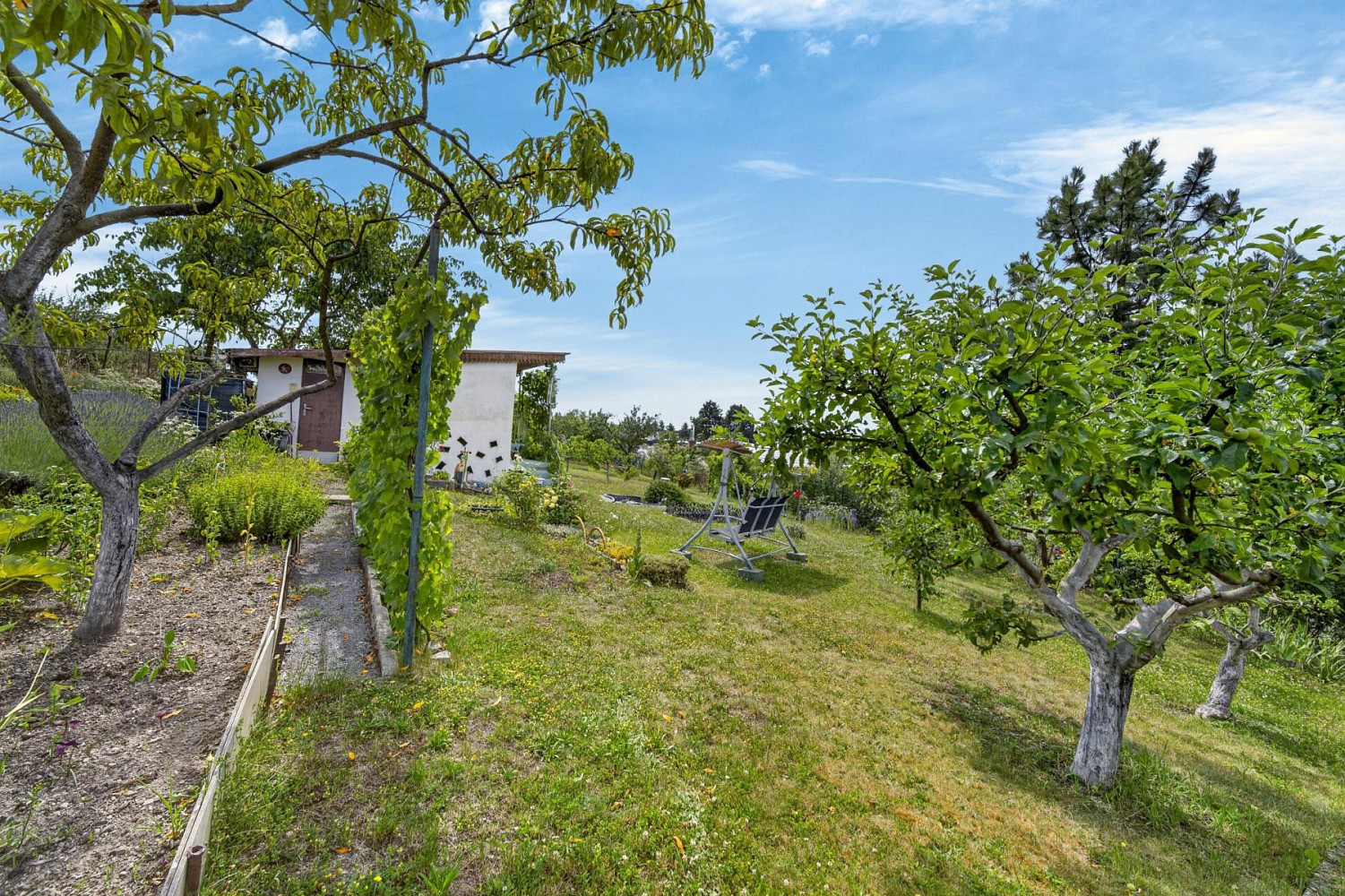 Prodej zahrady 391 m² – pohled 5