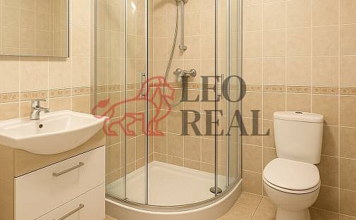 Prodej domu 289 m² s pozemkem 750 m², Rapotice, okres Třebíč