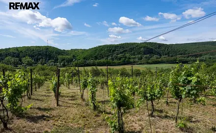 Prodej zahrady 2 403 m², Moravské Bránice, okres Brno-venkov