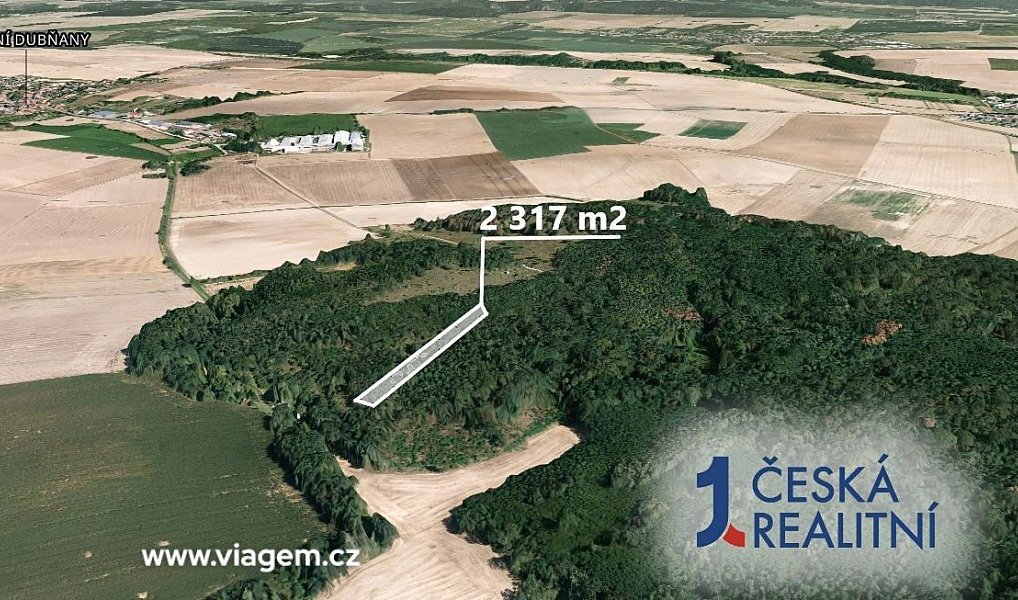 Prodej lesa 2 317 m², Rybníky – náhled fotky 2