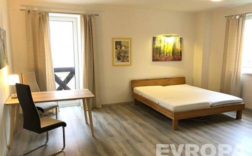 Pronájem bytu 1+kk 47 m², K Lutové, Plzeň - Černice