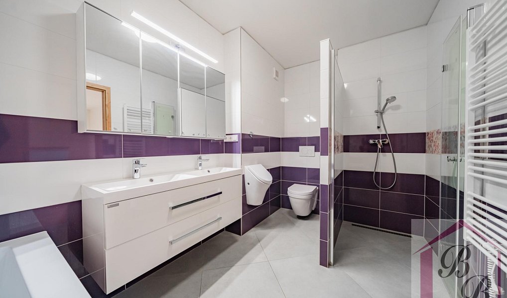Prodej domu 154 m² s pozemkem 256 m², Mladá Boleslav – náhled fotky 16