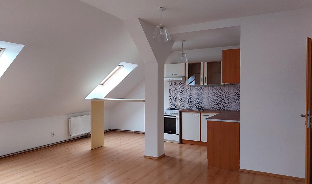 Pronájem bytu 2+kk 74 m², Plzeň – náhled fotky 5