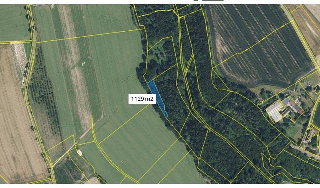 Prodej lesa 8 286 m², Svijanský Újezd – náhled fotky 4