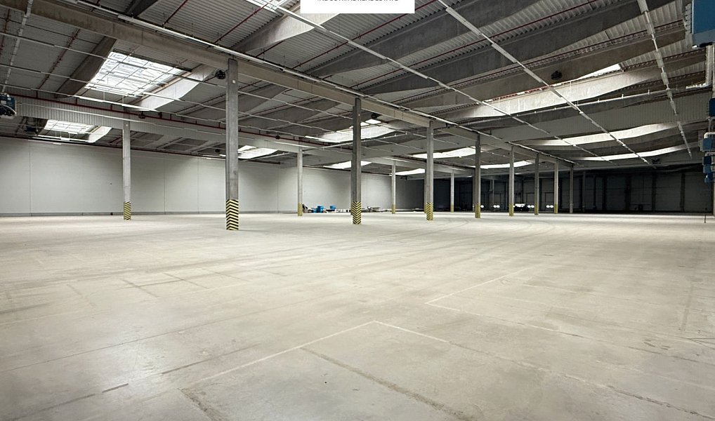 Pronájem výrobních prostor 2 377 m², Bor – náhled fotky 3