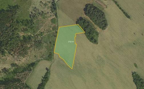 Prodej pole 11 594 m², Věžná - Jabloňov, okres Žďár nad Sázavou