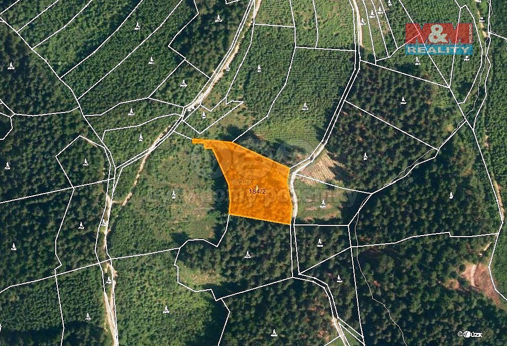 Prodej lesa 4 855 m² – fotografie 4
