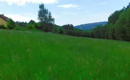 Prodej louky 12 565 m², Cihlářská, Semily