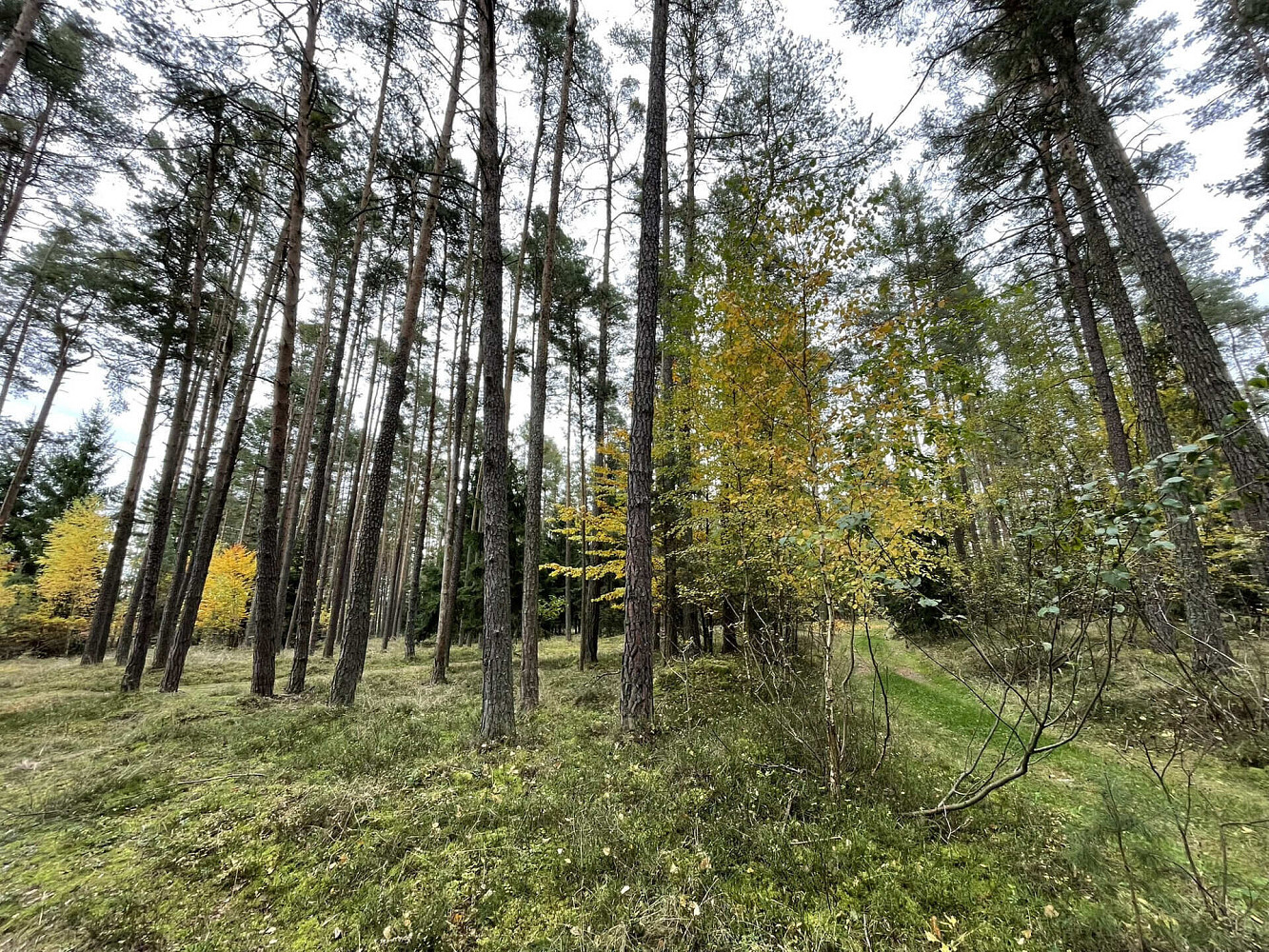 Fotka 9 z 17