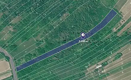 Prodej louky 3 571 m², Němčičky, okres Břeclav