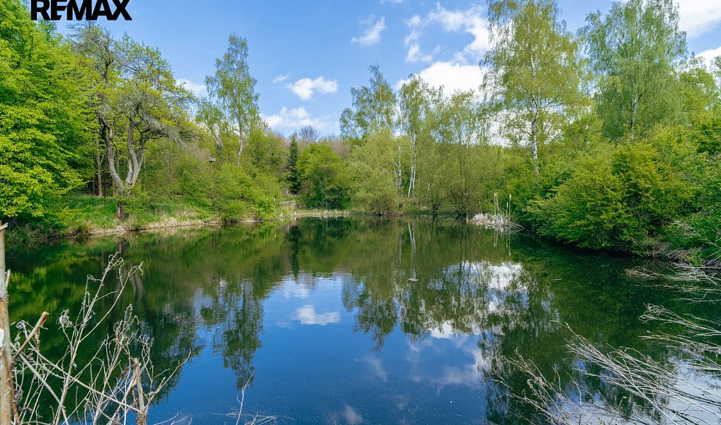 Prodej vodní plochy 8 716 m², Střítež – náhled fotky 2