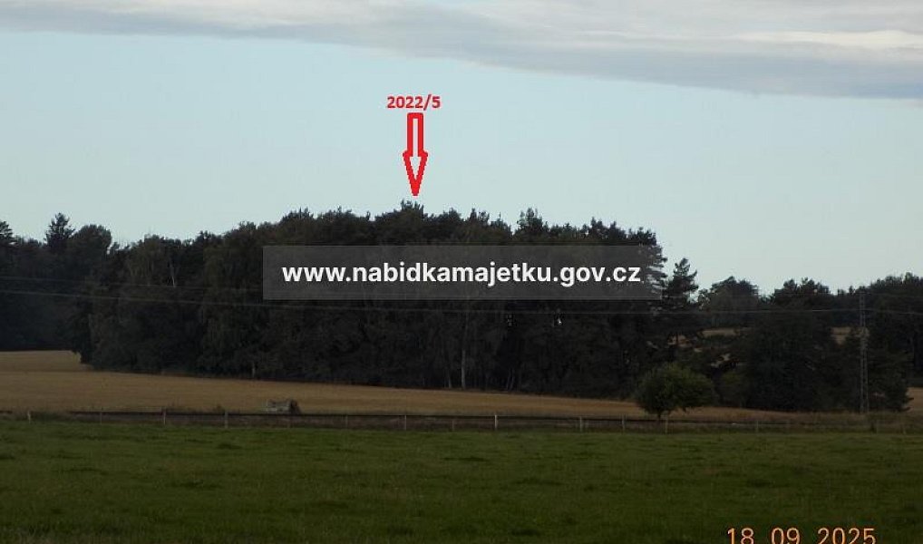 Prodej pozemku 6 070 m², Bor – náhled fotky 3
