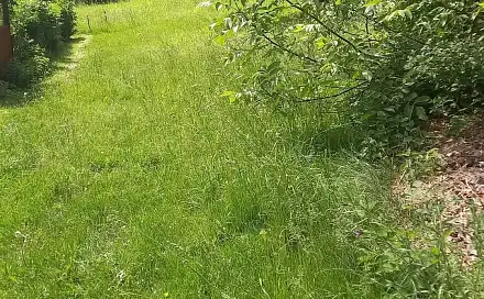 Prodej stavebního pozemku 1 800 m², Staré Křečany - Nové Křečany, okres Děčín
