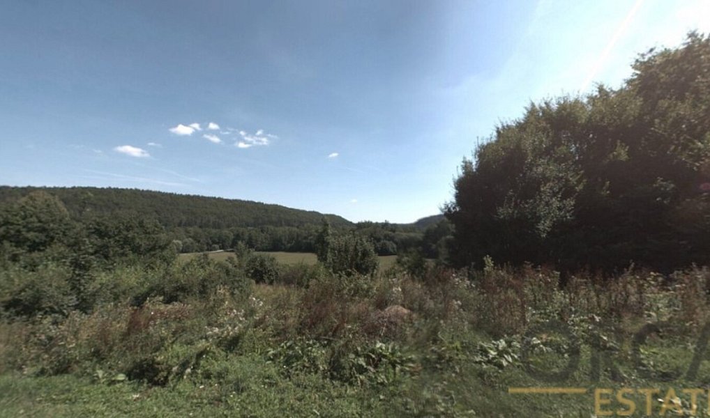 Prodej pozemku 6 578 m², Luže – náhled fotky 3