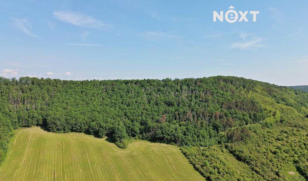 Prodej lesa 3 149 m², Chrustenice – náhled fotky 13
