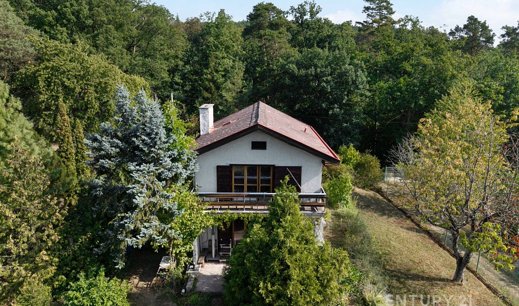 Prodej stavebního pozemku 939 m², Rozdrojovice – náhled fotky 2