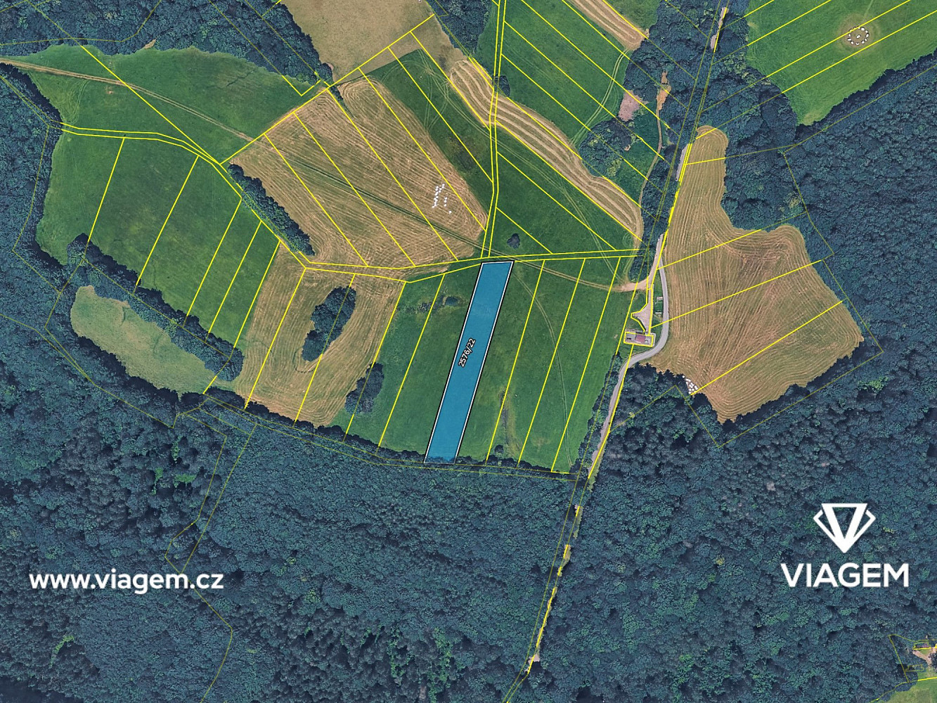 Fotka 4 z 5
