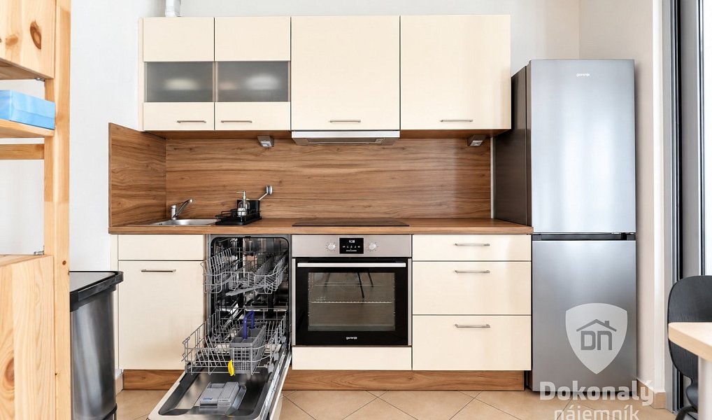 Pronájem bytu 1+1 48 m², Praha – náhled fotky 2